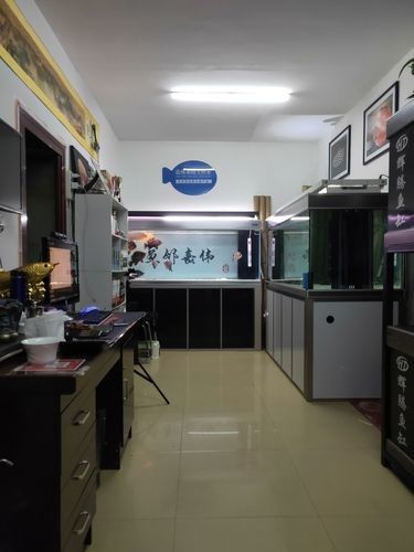 沈陽開水族店怎么樣？加盟祥龍魚場賣龍魚市場怎樣？