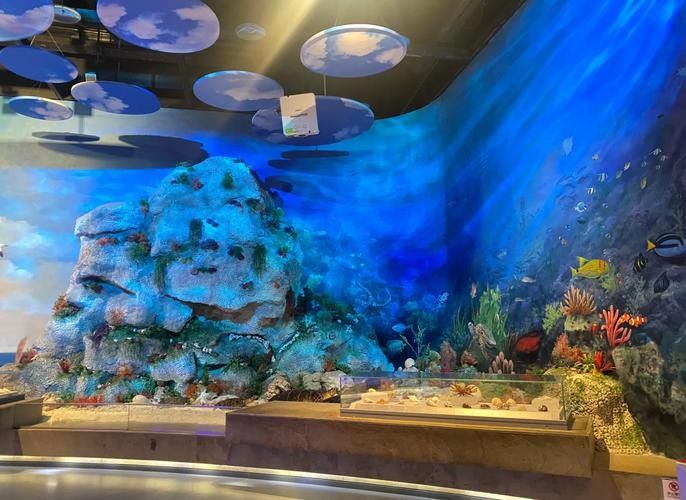 瓊海開水族店怎么樣？加盟祥龍魚場賣龍魚市場怎樣？