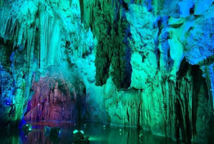 瀘西開水族店怎么樣？加盟祥龍魚場賣龍魚市場怎樣？