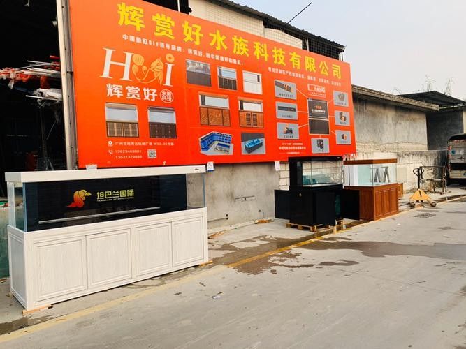 瀘西開水族店怎么樣？加盟祥龍魚場賣龍魚市場怎樣？