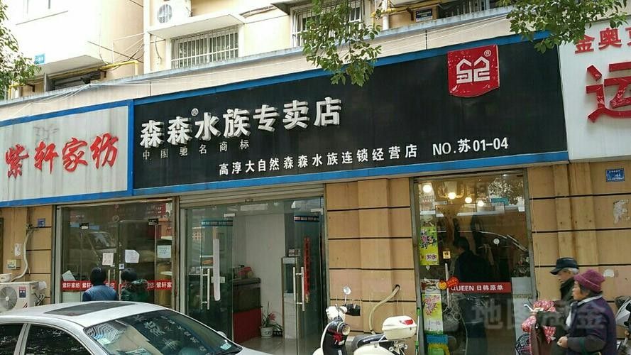 高淳開水族店怎么樣？加盟祥龍魚場賣龍魚市場怎樣？