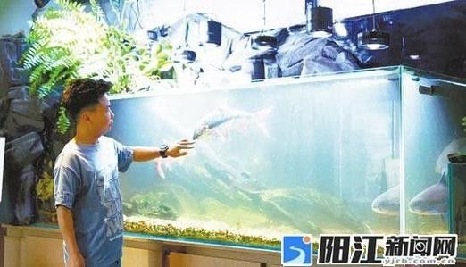 青陽開水族店怎么樣？加盟祥龍魚場賣龍魚市場怎樣？