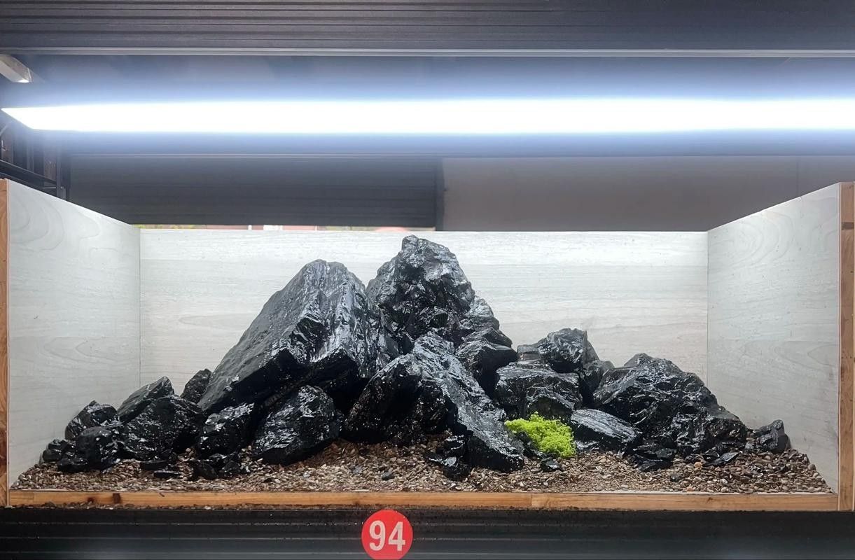 銀龍魚缸底鋪什么好看