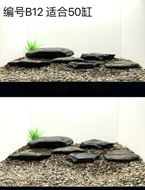 銀龍魚缸底鋪什么好看