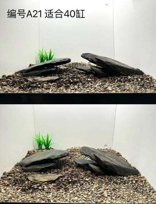 銀龍魚缸底鋪什么好看