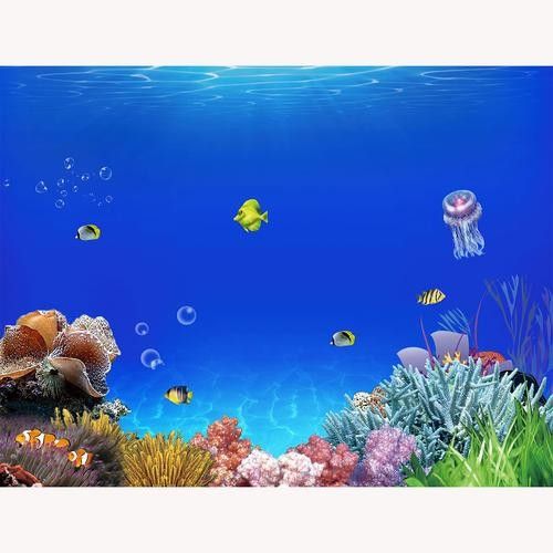 農(nóng)安開水族店怎么樣？加盟祥龍魚場賣龍魚市場怎樣？