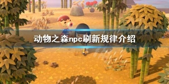 龍克斯一天來幾次？