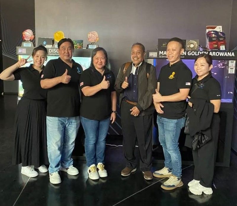 舟曲開水族店怎么樣？加盟祥龍魚場賣龍魚市場怎樣？ 舟曲開水族店怎么樣？加盟祥龍魚場賣龍魚市場怎樣？ 水族館百科（水族館加盟） 第14張