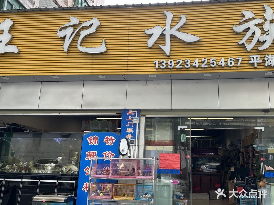 舟曲開水族店怎么樣？加盟祥龍魚場賣龍魚市場怎樣？ 舟曲開水族店怎么樣？加盟祥龍魚場賣龍魚市場怎樣？ 水族館百科（水族館加盟） 第9張
