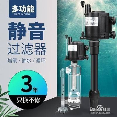 魚缸增氧泵要一直開著嗎？（水生植物與增氧泵的關系如何判斷魚缸缺氧狀態？）