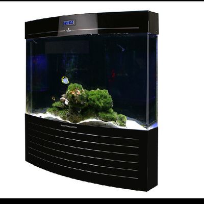 紅龍魚的喂養技巧和方法大全圖解（紅龍魚的喂養技巧和方法大全圖解視頻）