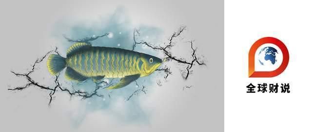 金龍魚重新定位的依據是什么