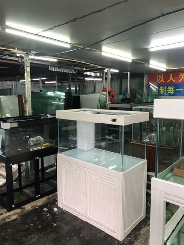 金州開水族店怎么樣？加盟祥龍魚場賣龍魚市場怎樣？