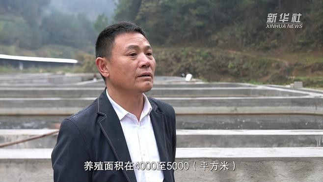 貴州開水族店怎么樣？加盟祥龍魚場賣龍魚市場怎樣？