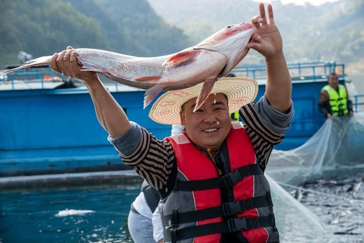 貴州開水族店怎么樣？加盟祥龍魚場賣龍魚市場怎樣？