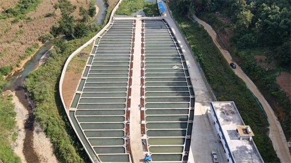 貴州開水族店怎么樣？加盟祥龍魚場賣龍魚市場怎樣？