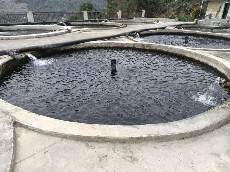 貴州開水族店怎么樣？加盟祥龍魚場賣龍魚市場怎樣？
