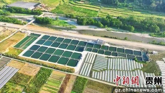 貴州開水族店怎么樣？加盟祥龍魚場賣龍魚市場怎樣？