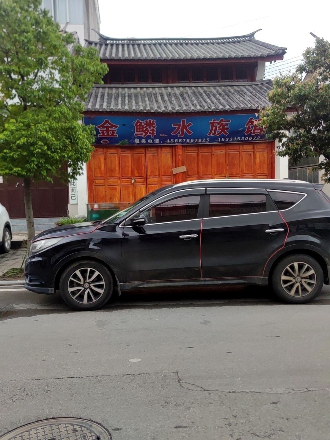 隆陽開水族店怎么樣？加盟祥龍魚場賣龍魚市場怎樣？