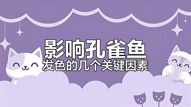 環境因素中哪個對發色影響最大？