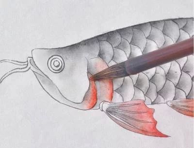 龍魚的畫怎樣畫好看：龍魚的畫法 龍魚的畫怎樣畫好看：龍魚的畫法 龍魚百科 第1張