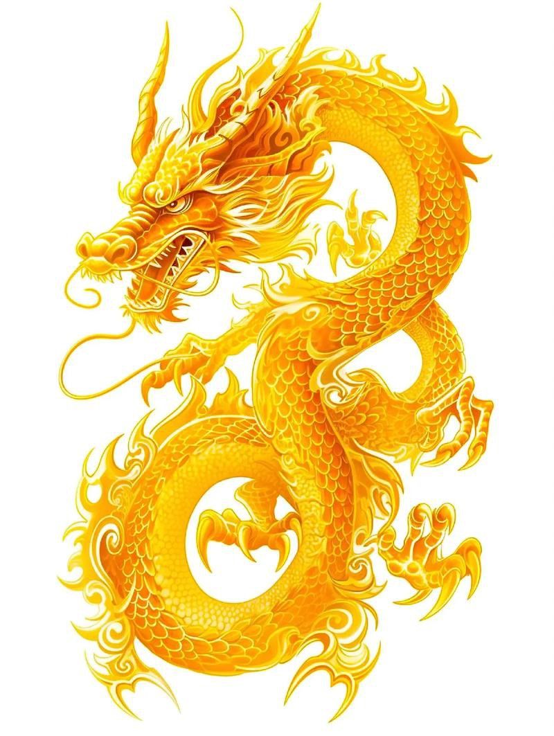 哪個網站提供高清龍圖片素材？ 哪個網站提供高清龍圖片素材？ 龍魚百科 第11張