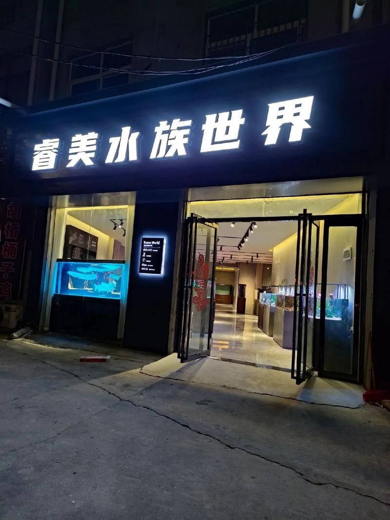寧夏開水族店怎么樣？加盟祥龍魚場(chǎng)賣龍魚市場(chǎng)怎樣？