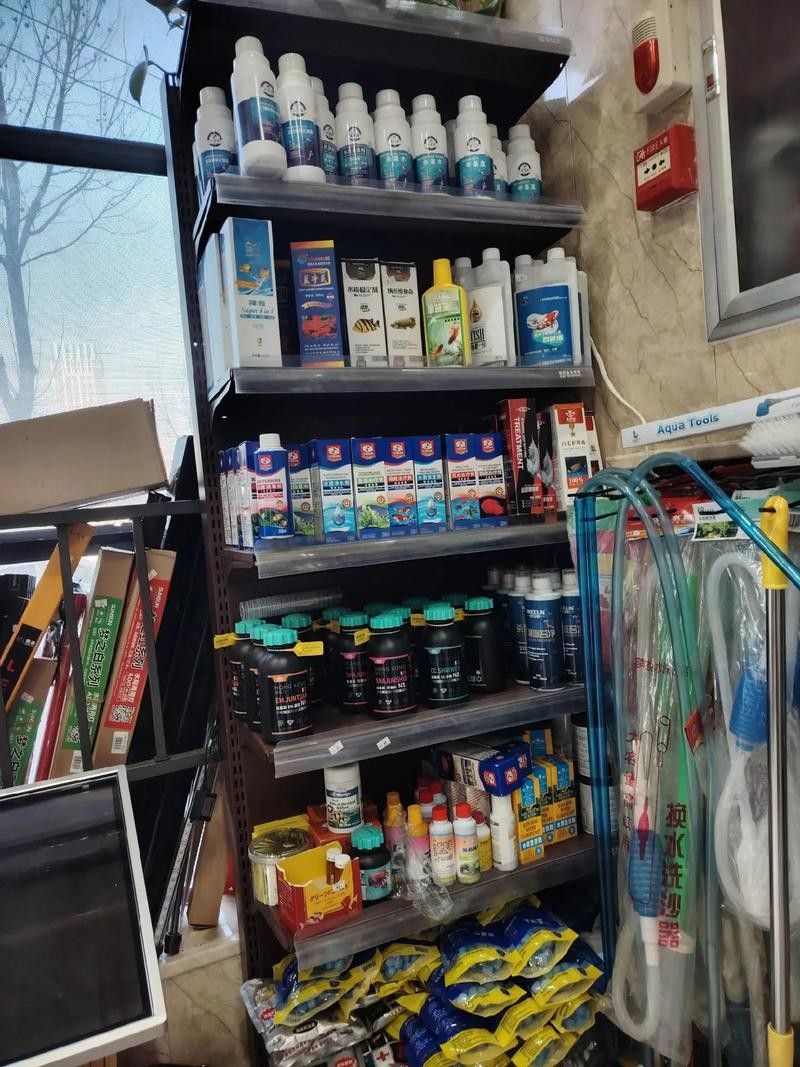 鄯善開水族店怎么樣？加盟祥龍魚場賣龍魚市場怎樣？