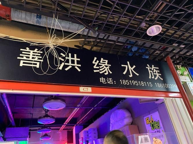 鄯善開水族店怎么樣？加盟祥龍魚場賣龍魚市場怎樣？