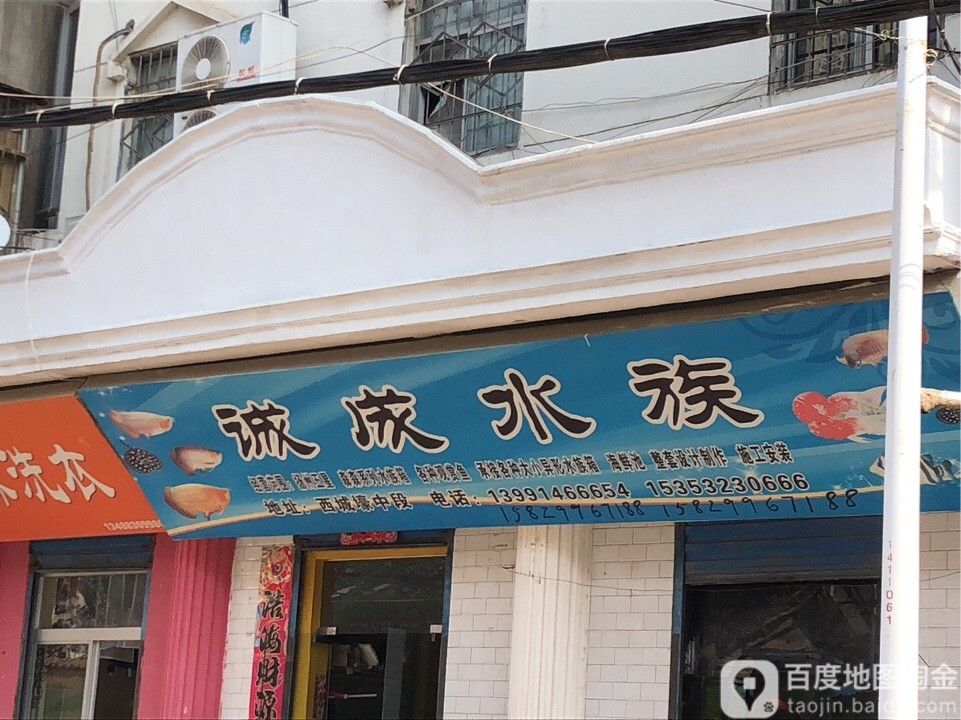 山陽開水族店怎么樣？加盟祥龍魚場賣龍魚市場怎樣？ 山陽開水族店怎么樣？加盟祥龍魚場賣龍魚市場怎樣？ 水族館百科（水族館加盟） 第1張