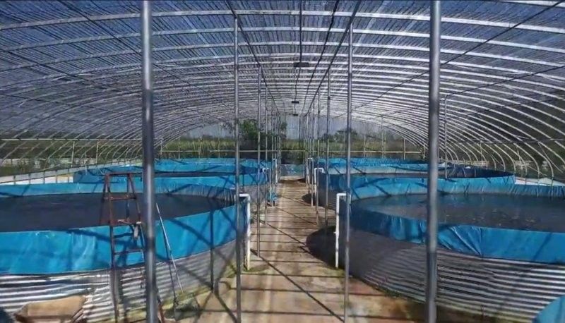 南鄭開水族店怎么樣？加盟祥龍魚場(chǎng)賣龍魚市場(chǎng)怎樣？ 南鄭開水族店怎么樣？加盟祥龍魚場(chǎng)賣龍魚市場(chǎng)怎樣？ 水族館百科（水族館加盟） 第5張