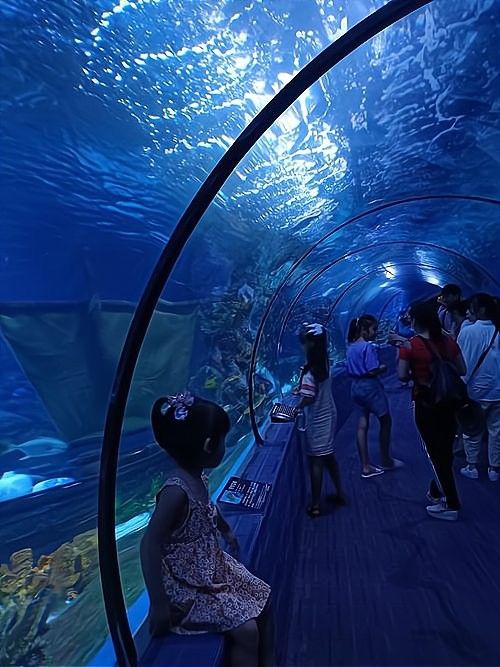 遼源開(kāi)水族店怎么樣？加盟祥龍魚場(chǎng)賣龍魚市場(chǎng)怎樣？ 遼源開(kāi)水族店怎么樣？加盟祥龍魚場(chǎng)賣龍魚市場(chǎng)怎樣？ 水族館百科（水族館加盟） 第10張