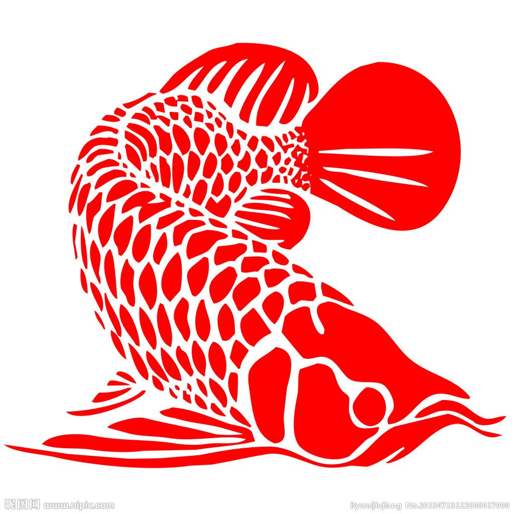 全部在這里等開飯 全部在這里等開飯 龍魚百科 第2張