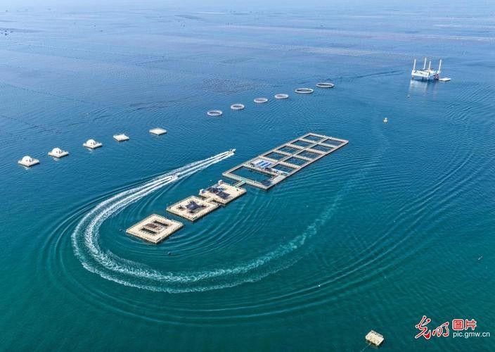德州開水族店怎么樣？加盟祥龍魚場賣龍魚市場怎樣？ 德州開水族店怎么樣？加盟祥龍魚場賣龍魚市場怎樣？ 水族館百科（水族館加盟） 第4張