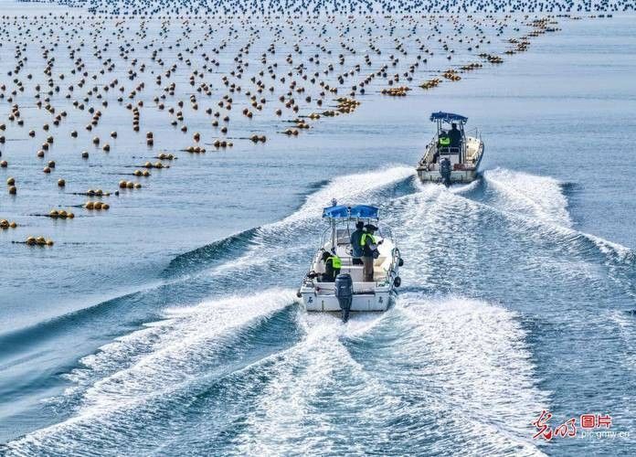 德州開水族店怎么樣？加盟祥龍魚場賣龍魚市場怎樣？ 德州開水族店怎么樣？加盟祥龍魚場賣龍魚市場怎樣？ 水族館百科（水族館加盟） 第2張