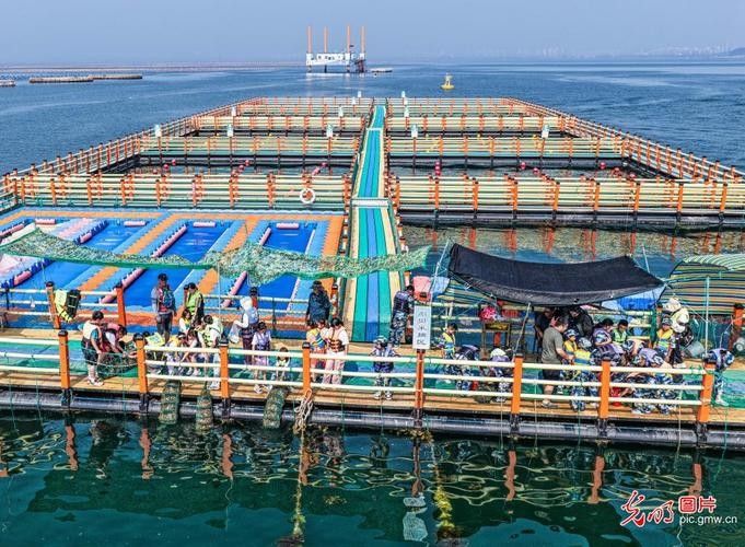 德州開水族店怎么樣？加盟祥龍魚場賣龍魚市場怎樣？ 德州開水族店怎么樣？加盟祥龍魚場賣龍魚市場怎樣？ 水族館百科（水族館加盟） 第3張