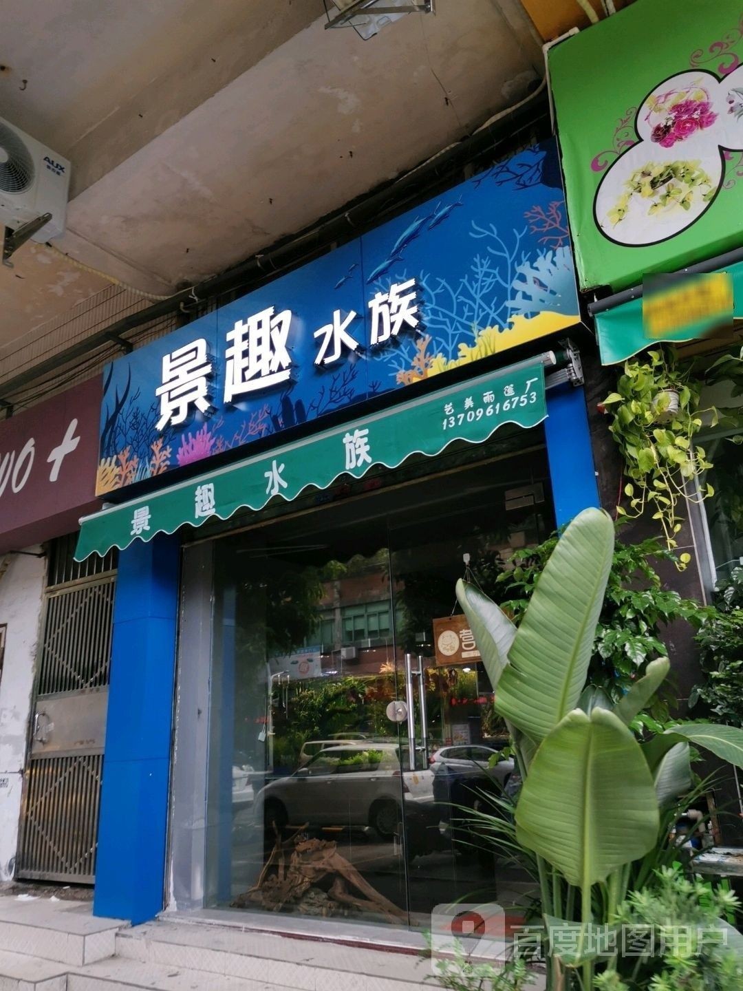 卡若開水族店怎么樣？加盟祥龍魚場賣龍魚市場怎樣？