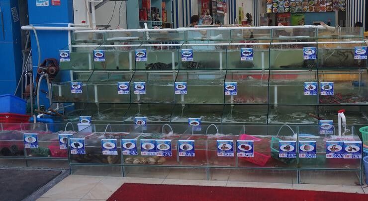 廣東開水族店怎么樣？加盟祥龍魚場賣龍魚市場怎樣？