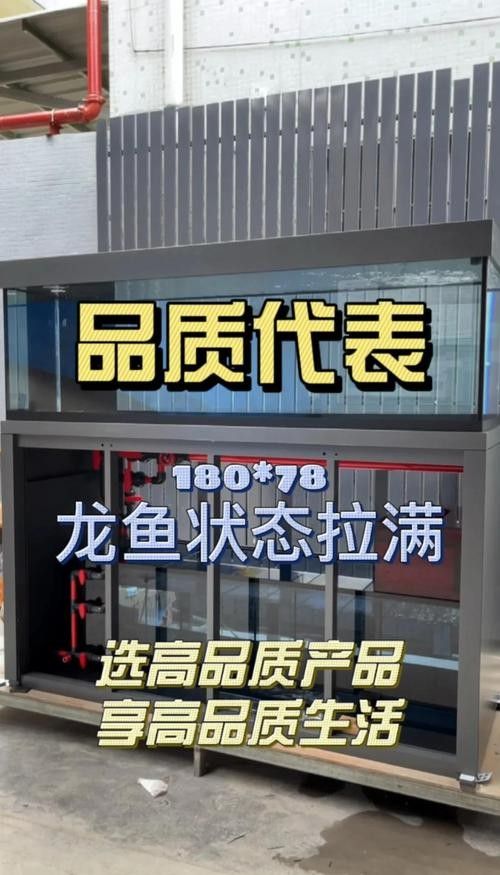 嵩明開水族店怎么樣?加盟祥龍魚場賣龍魚市場怎樣? 水族館百科(水族館加盟) 第3張 嵩明開水族店怎么樣?加盟祥龍魚場賣龍魚市場怎樣? 嵩明開水族店怎么樣?加盟祥龍魚場賣龍魚市場怎樣? 水族館百科(水族館加盟) 第3張