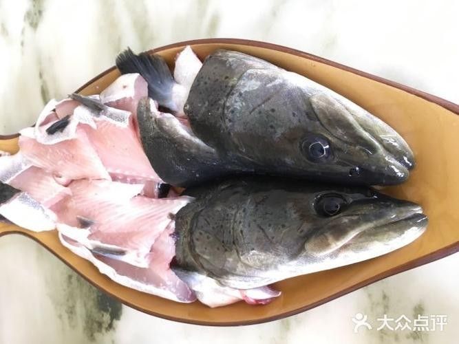 嵩明開水族店怎么樣?加盟祥龍魚場賣龍魚市場怎樣? 水族館百科(水族館加盟) 第4張 嵩明開水族店怎么樣?加盟祥龍魚場賣龍魚市場怎樣? 嵩明開水族店怎么樣?加盟祥龍魚場賣龍魚市場怎樣? 水族館百科(水族館加盟) 第4張