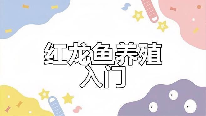 最好的紅龍魚圖片欣賞圖