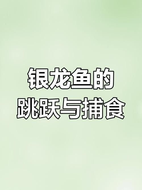 銀龍魚的樣子圖片