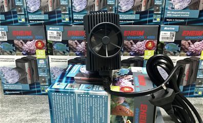 龍魚需要沖浪泵么（龍魚是否需要沖浪泵）