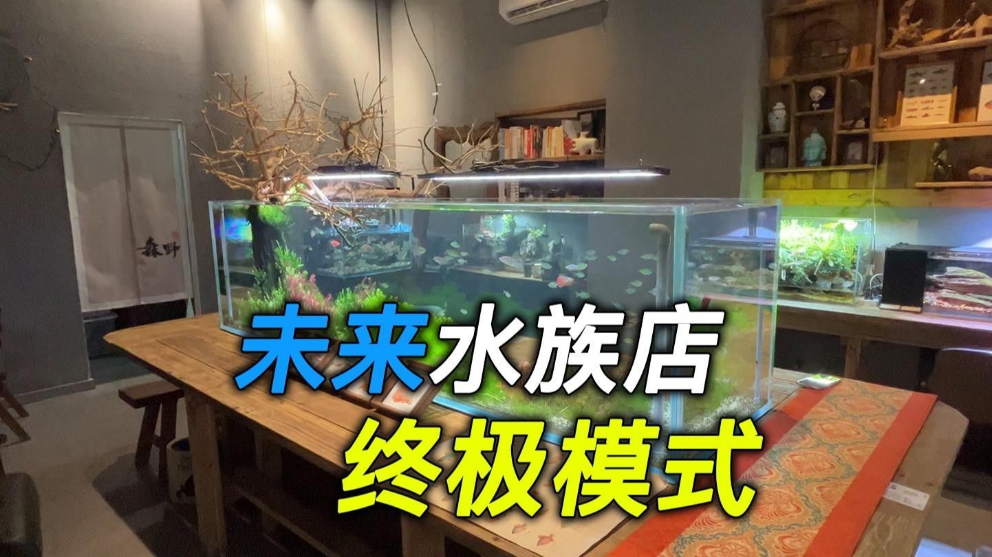 順德開水族店怎么樣？加盟祥龍魚場賣龍魚市場怎樣？
