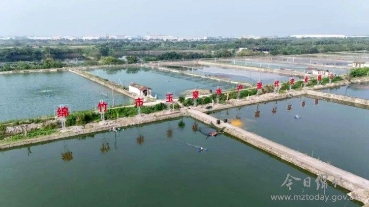 綿竹開水族店怎么樣？加盟祥龍魚場賣龍魚市場怎樣？