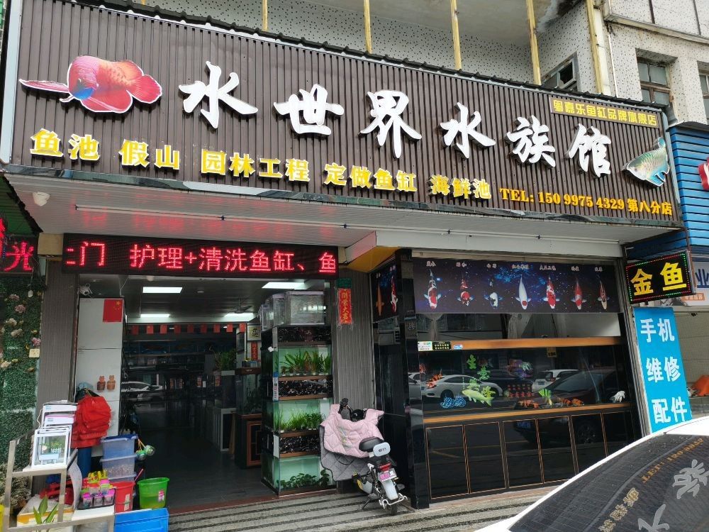 松山開水族店怎么樣？加盟祥龍魚場賣龍魚市場怎樣？ 松山開水族店怎么樣？加盟祥龍魚場賣龍魚市場怎樣？ 水族館百科（水族館加盟） 第2張