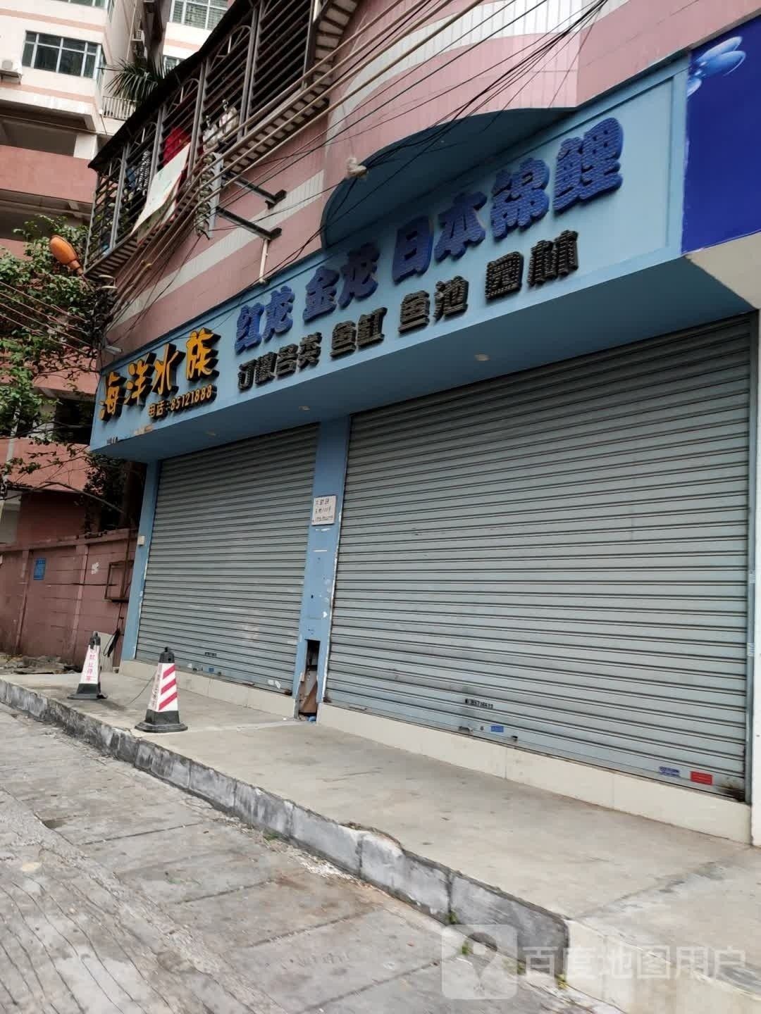 松山開水族店怎么樣？加盟祥龍魚場賣龍魚市場怎樣？ 松山開水族店怎么樣？加盟祥龍魚場賣龍魚市場怎樣？ 水族館百科（水族館加盟） 第3張