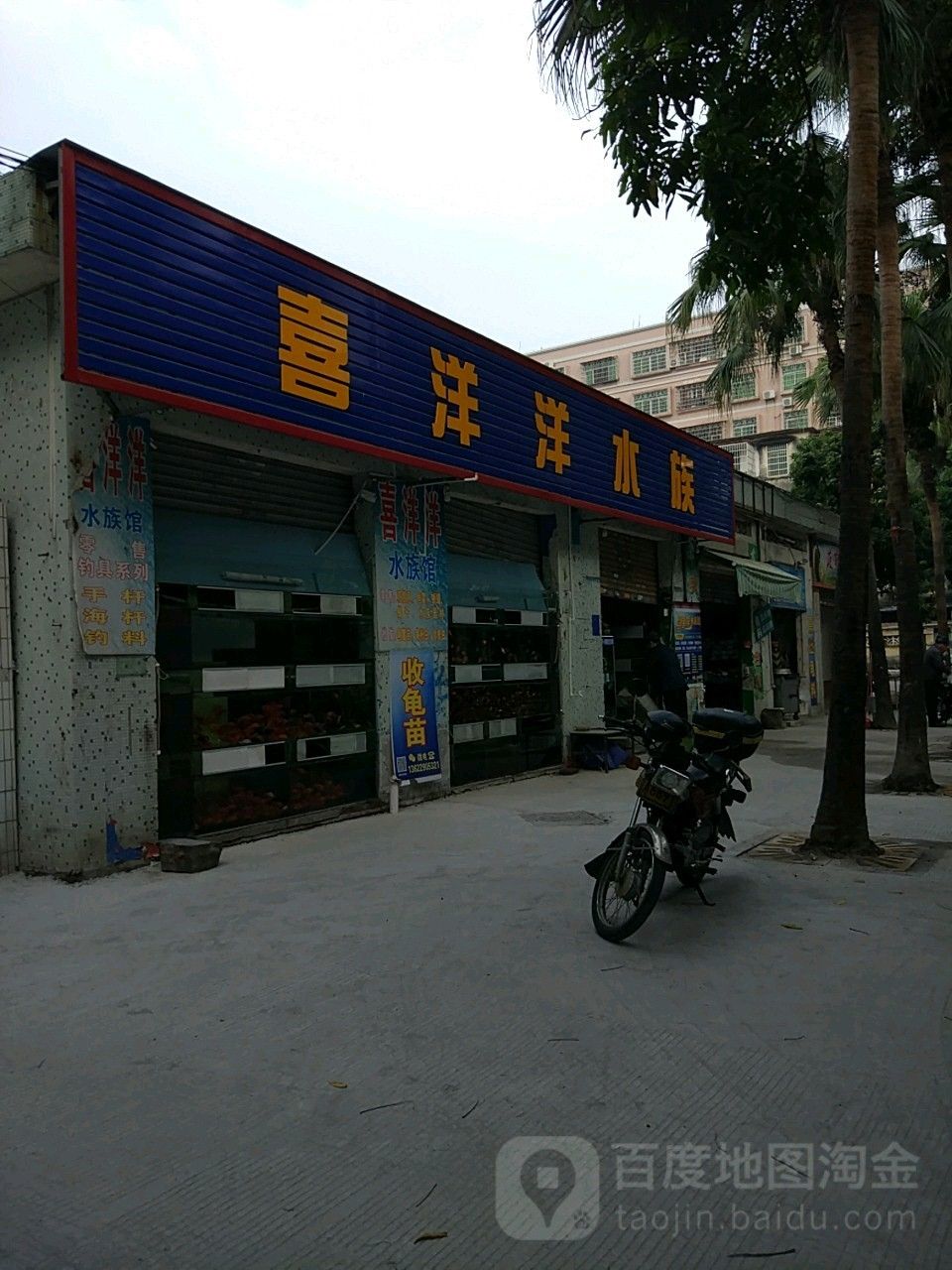 茂南開水族店怎么樣？加盟祥龍魚場賣龍魚市場怎樣？