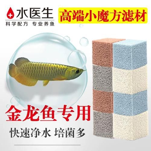 50cm高背金龍魚需要什么樣的過濾系統？