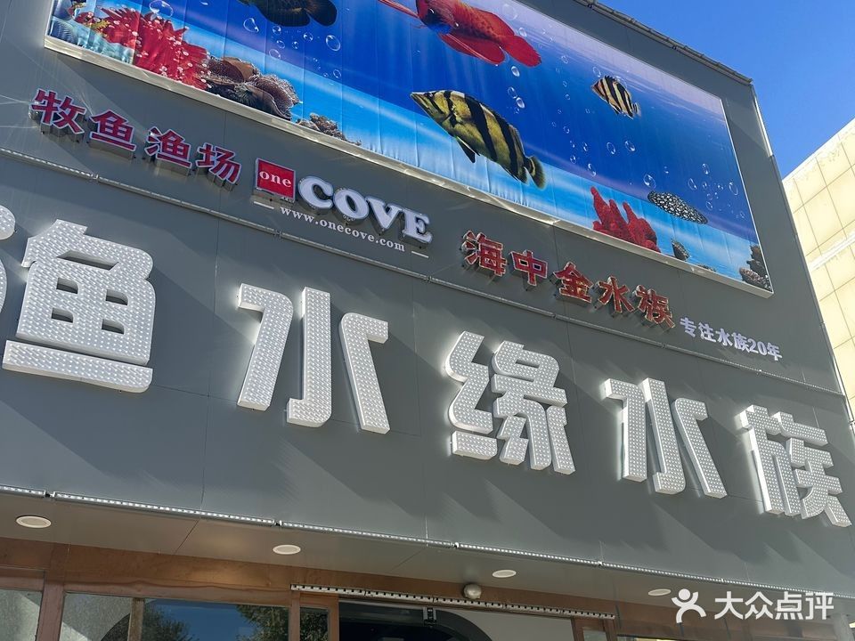 霸州開水族店怎么樣？加盟祥龍魚場賣龍魚市場怎樣？ 霸州開水族店怎么樣？加盟祥龍魚場賣龍魚市場怎樣？ 水族館百科（水族館加盟） 第1張